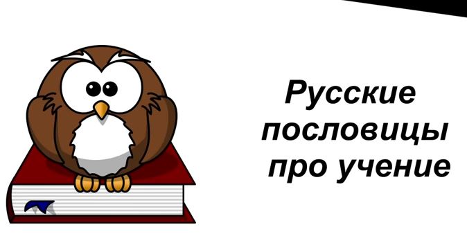 Proverbes russes sur l'apprentissage